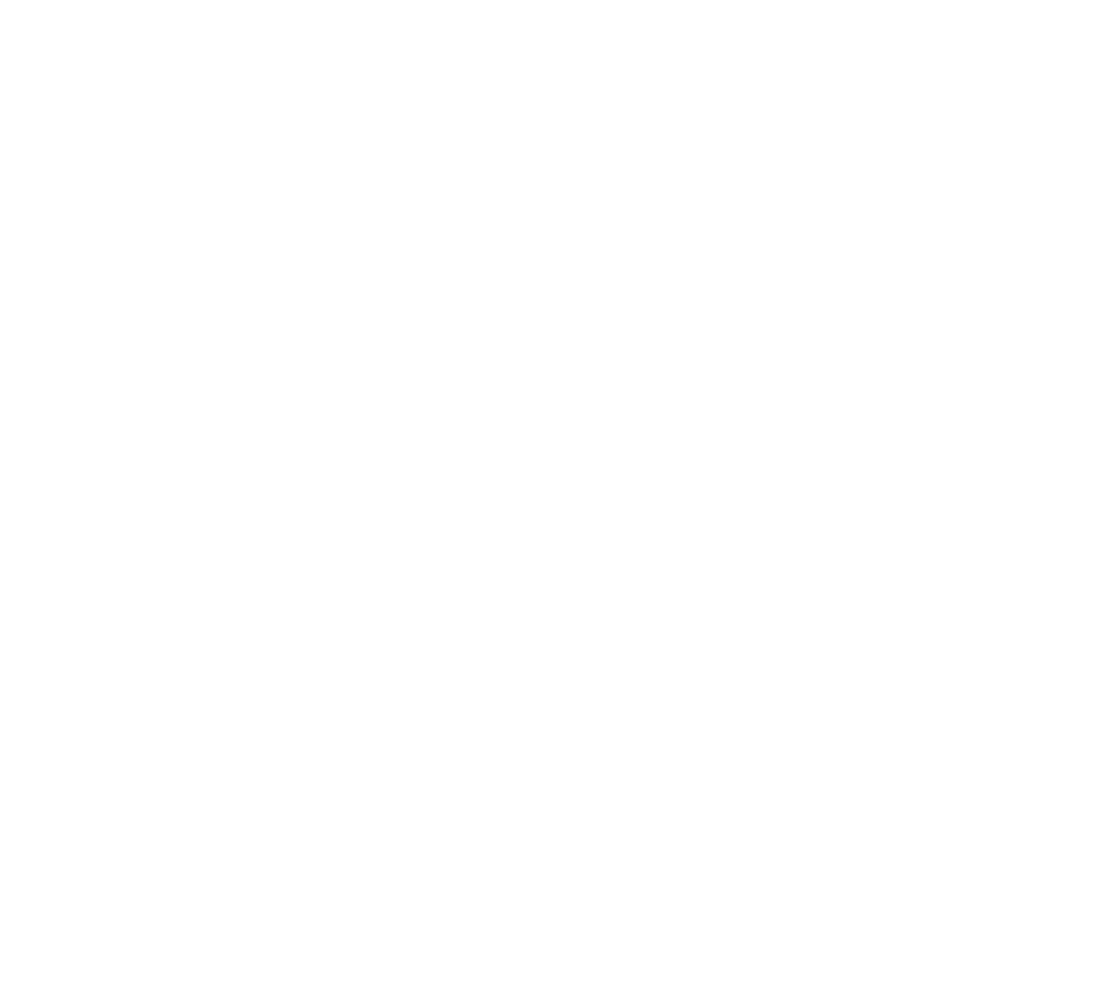 RecFest DIFF